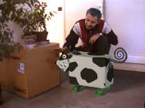 Mr Niklas Tracer et sa Margueritte