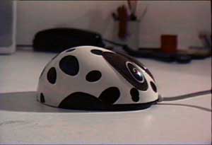 La b&ecirc;te avant le combat.